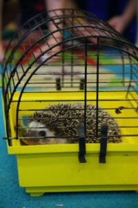 7D2_8241r